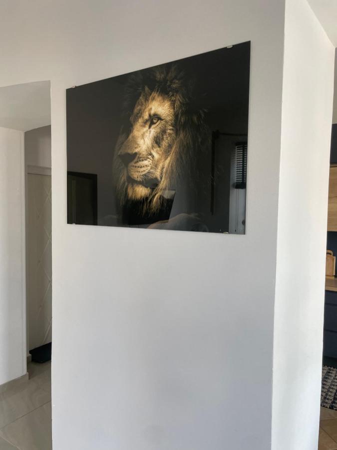 Apartament W Centrum Przy Studni 102M2 Lejlighed Chełm Eksteriør billede